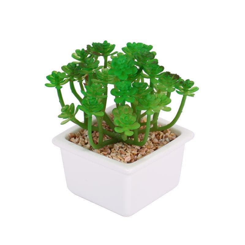 Artificial Plants - Faux Crassula In White Pot - 14.5 cms