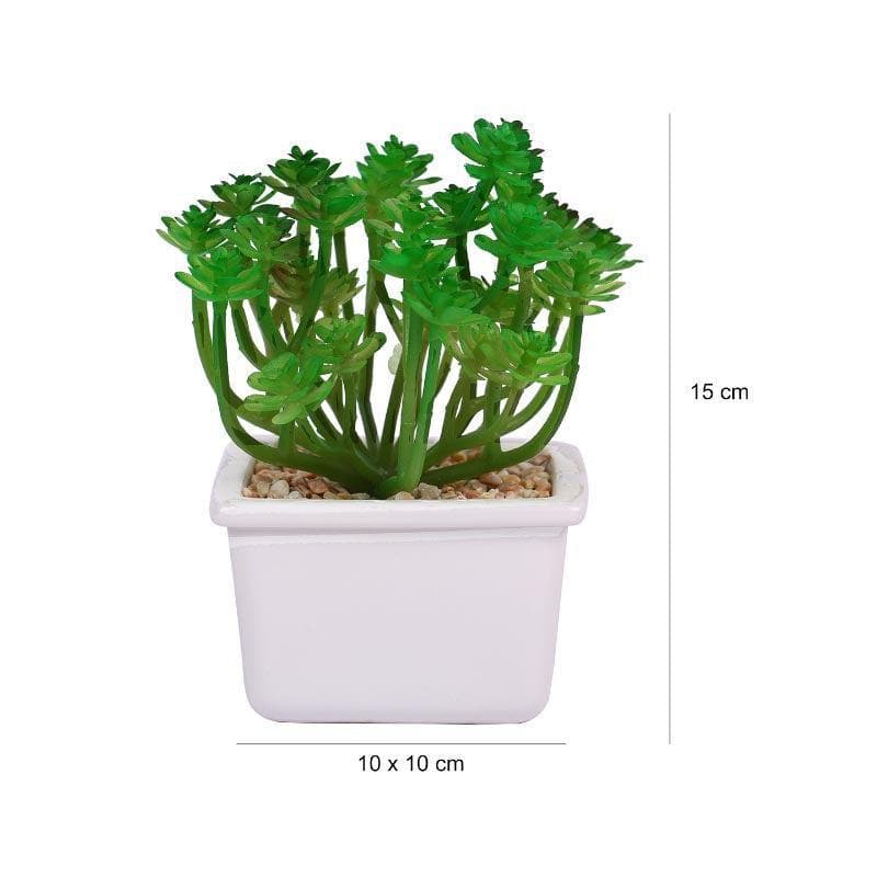 Artificial Plants - Faux Crassula In White Pot - 14.5 cms