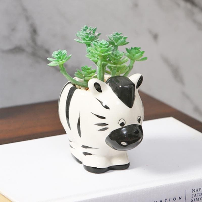 Buy Faux Crassula In Zebra Face Pot - 10.5 cms Artificial Plants from Vaaree