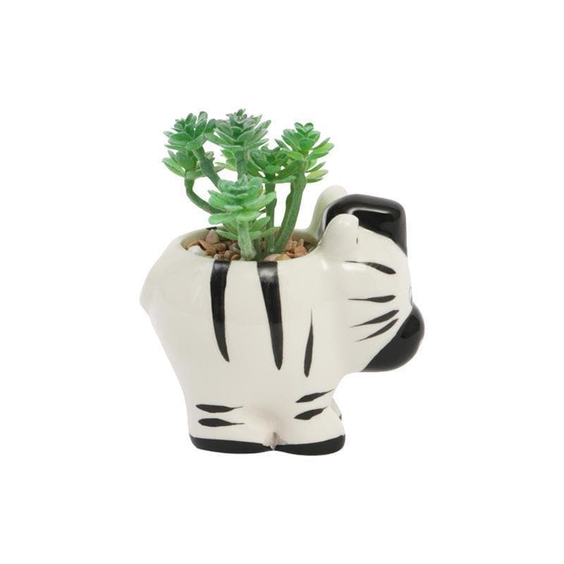 Buy Faux Crassula In Zebra Face Pot - 10.5 cms Artificial Plants from Vaaree