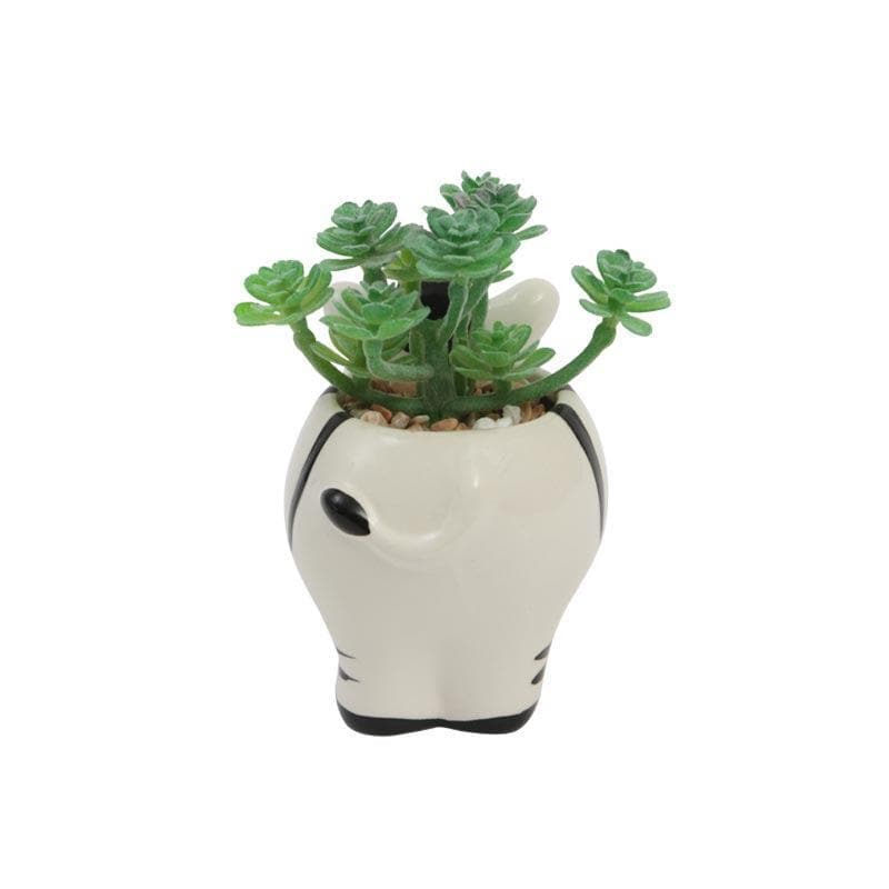 Buy Faux Crassula In Zebra Face Pot - 10.5 cms Artificial Plants from Vaaree