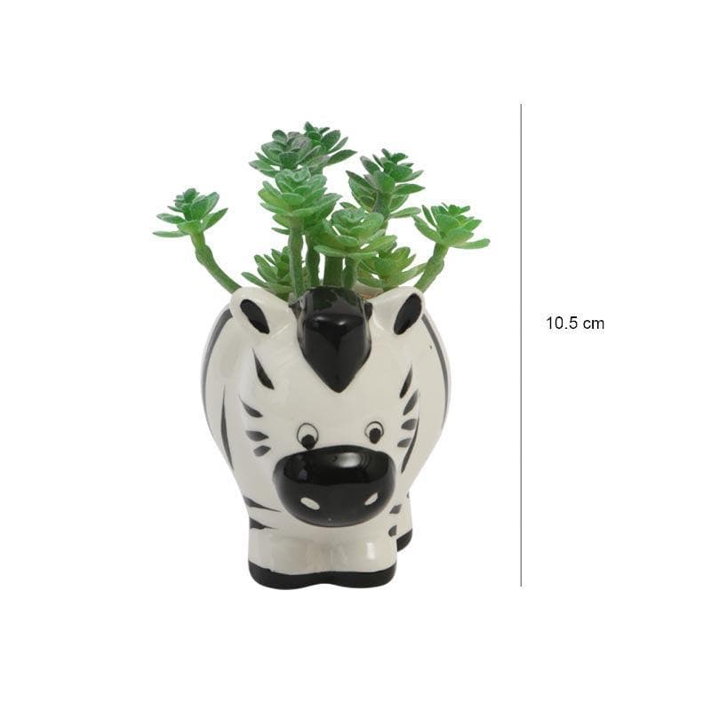 Buy Faux Crassula In Zebra Face Pot - 10.5 cms Artificial Plants from Vaaree