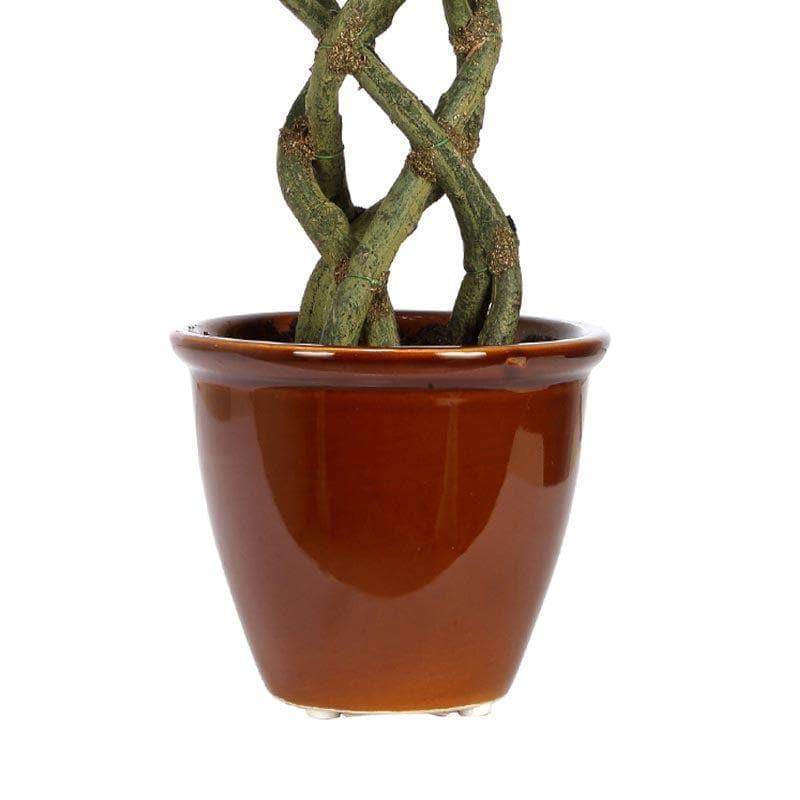 Buy Faux Creeper Ficus Bonsai (41 cms) - Green Artificial Plants from Vaaree