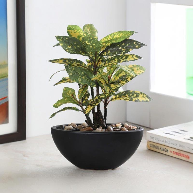 Artificial Plants - Faux Croton Bonsai In Bowl Pot (29 cms) - Yellow