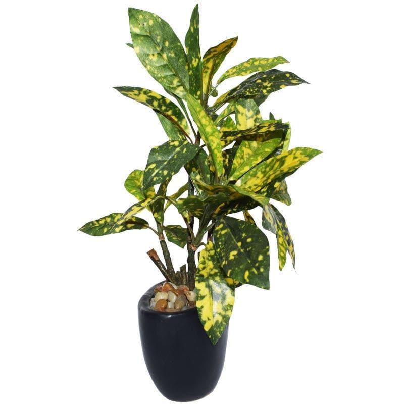 Artificial Plants - Faux Croton Bonsai In Bowl Pot (29 cms) - Yellow