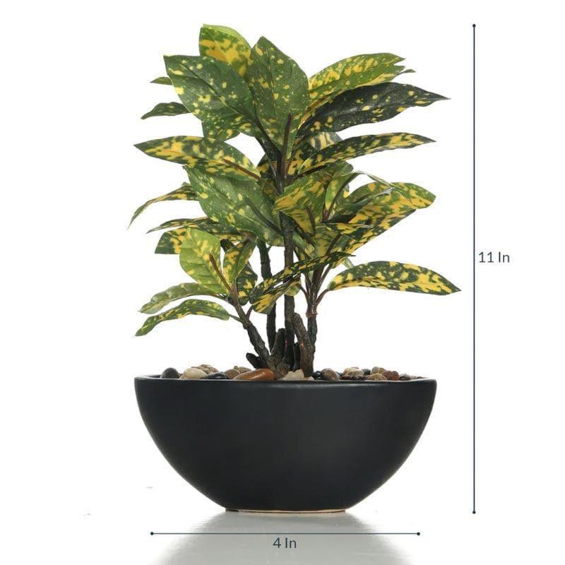 Artificial Plants - Faux Croton Bonsai In Bowl Pot (29 cms) - Yellow