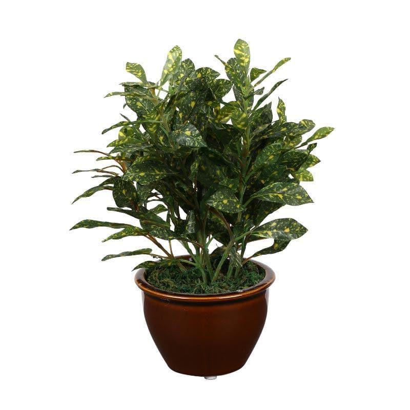 Artificial Plants - Faux Croton Bonsai In Ceramic Pot (28 cms) - Green