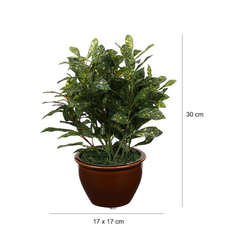 Buy Faux Croton Bonsai In Ceramic Pot (28 cms) - Green Artificial Plants from Vaaree