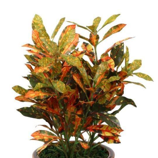 Artificial Plants - Faux Croton Bonsai In Ceramic Pot (28 cms) - Red