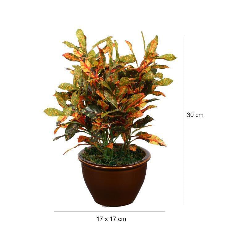 Artificial Plants - Faux Croton Bonsai In Ceramic Pot (28 cms) - Red