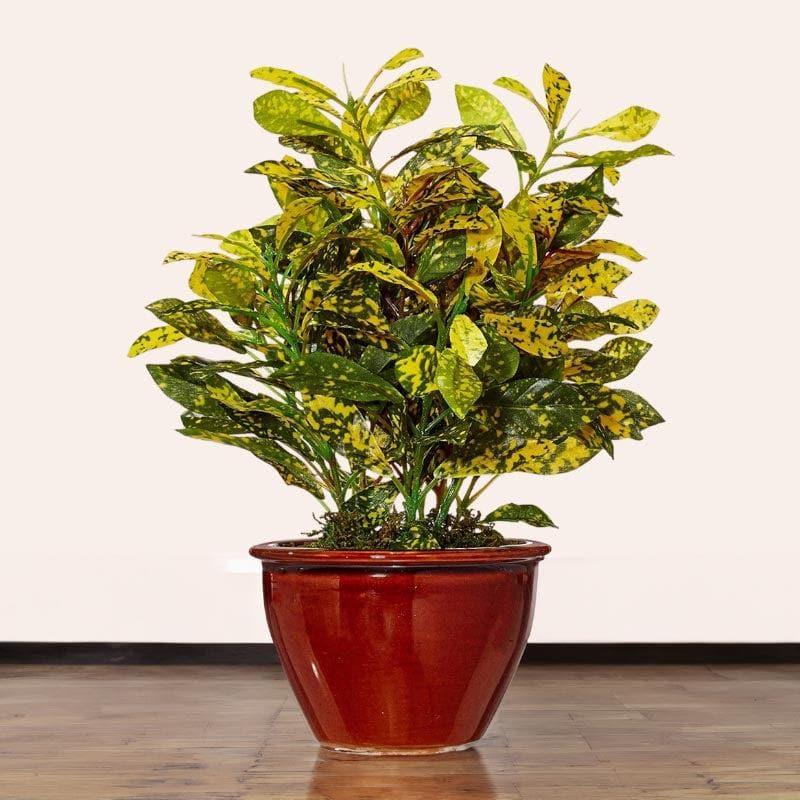 Buy Faux Croton Bonsai In Ceramic Pot (28 cms) - Yellow Artificial Plants from Vaaree