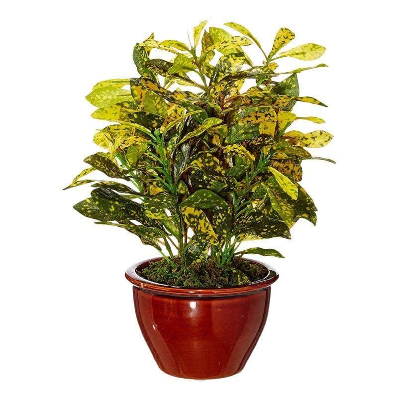 Artificial Plants - Faux Croton Bonsai In Ceramic Pot (28 cms) - Yellow