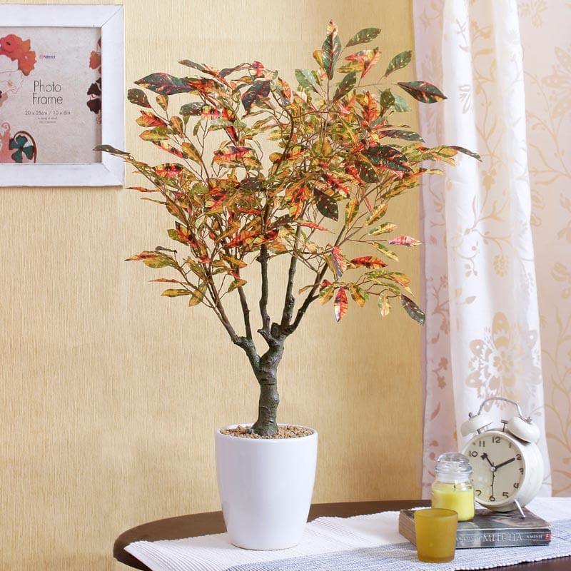 Buy Faux Croton Bonsai (2.46 ft) - Red Artificial Plants from Vaaree