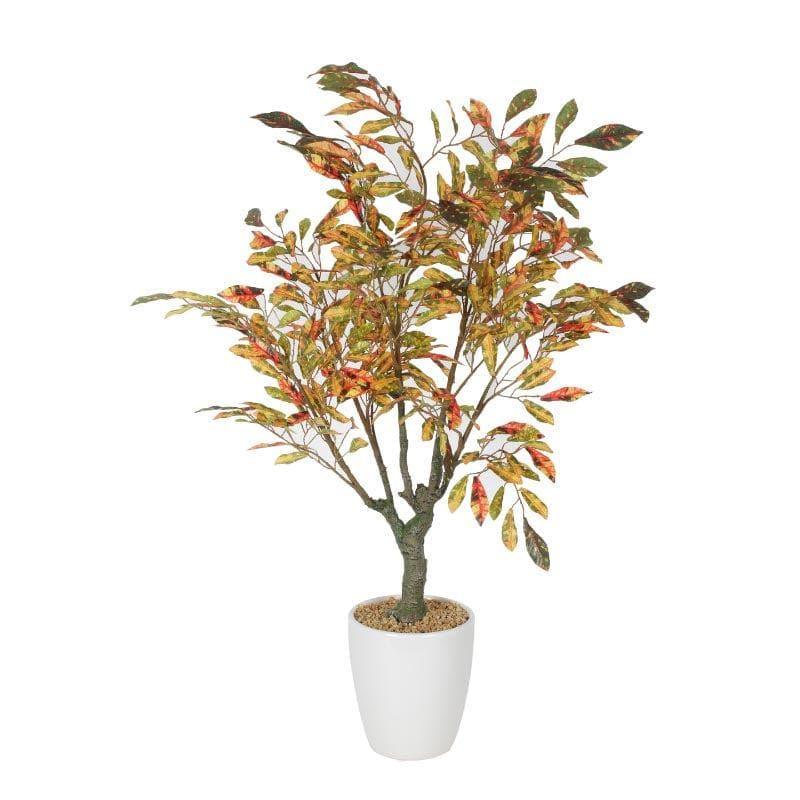 Buy Faux Croton Bonsai (2.46 ft) - Red Artificial Plants from Vaaree