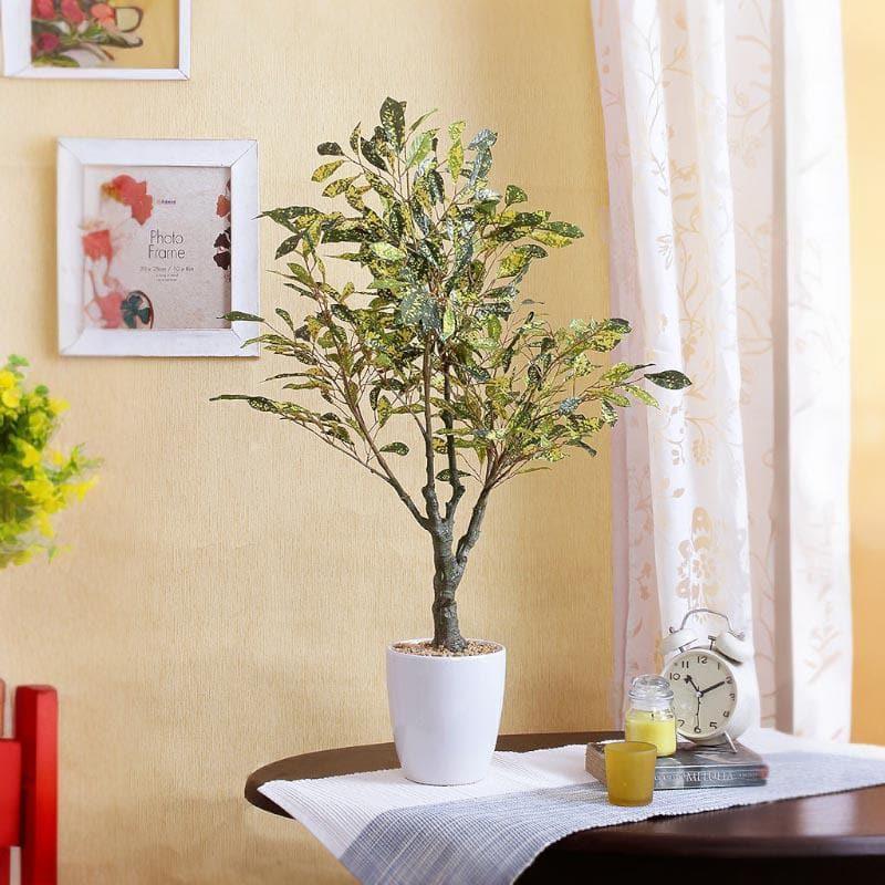 Buy Faux Croton Bonsai (2.46 ft) - Yellow Artificial Plants from Vaaree