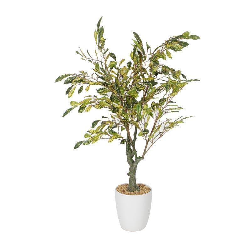 Buy Faux Croton Bonsai (2.46 ft) - Yellow Artificial Plants from Vaaree