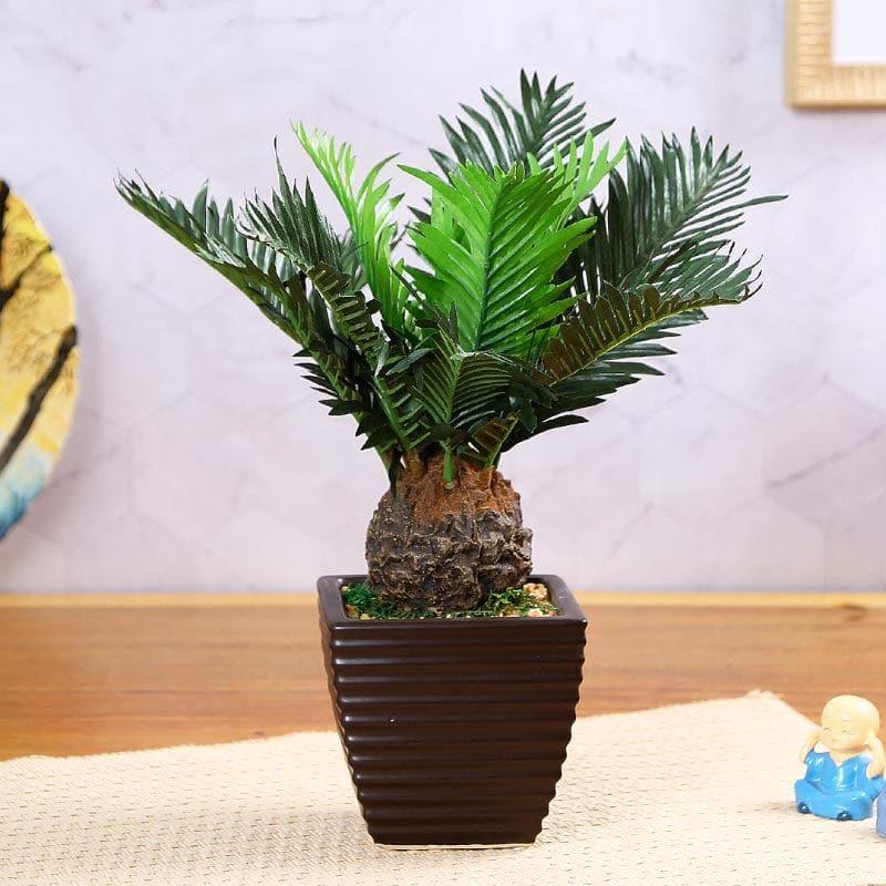 Buy Faux Cycas Bonsai In Ceramic Pot - 33 cms Artificial Plants from Vaaree