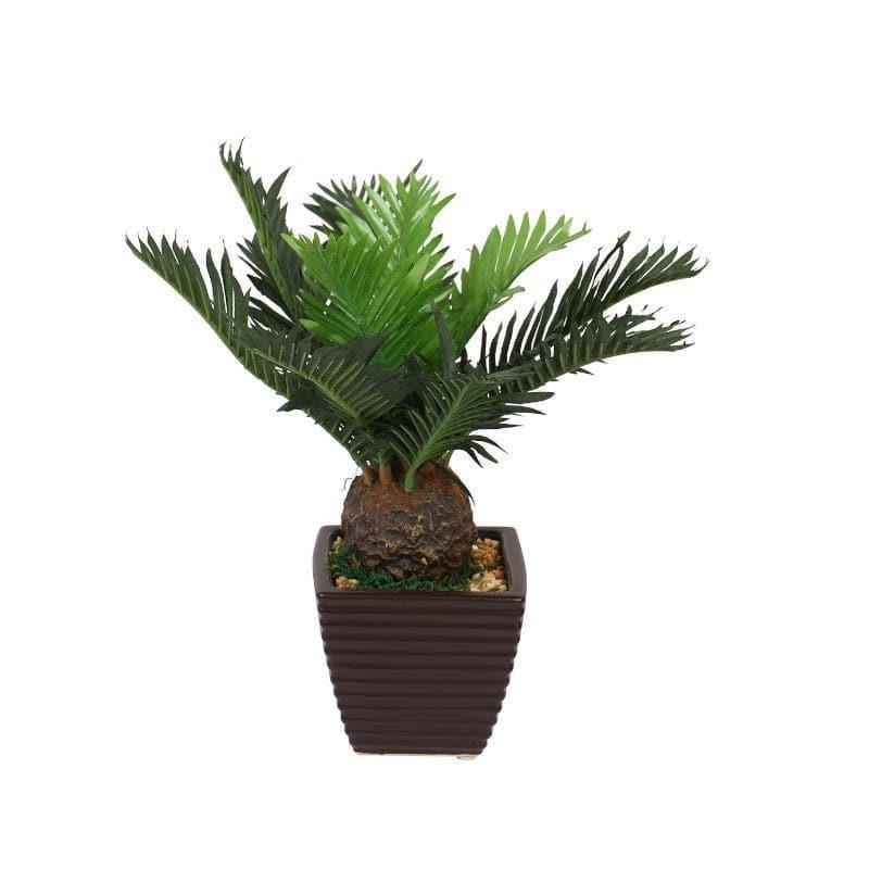 Buy Faux Cycas Bonsai In Ceramic Pot - 33 cms Artificial Plants from Vaaree