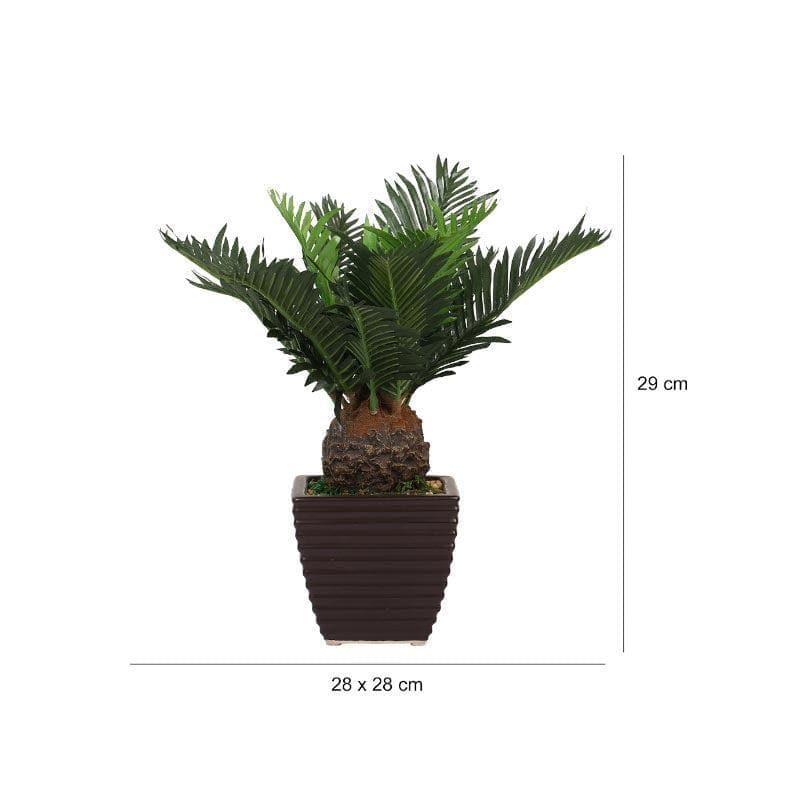 Buy Faux Cycas Bonsai In Ceramic Pot - 33 cms Artificial Plants from Vaaree