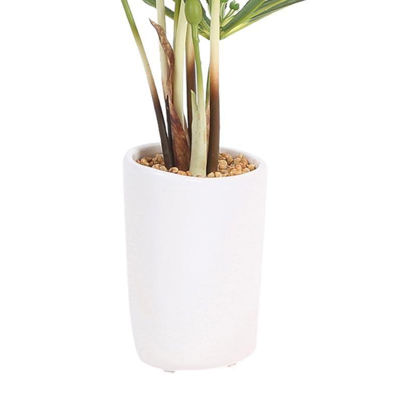 Artificial Plants - Faux Cyperus Bonsai In Ceramic Pot - 38 cms