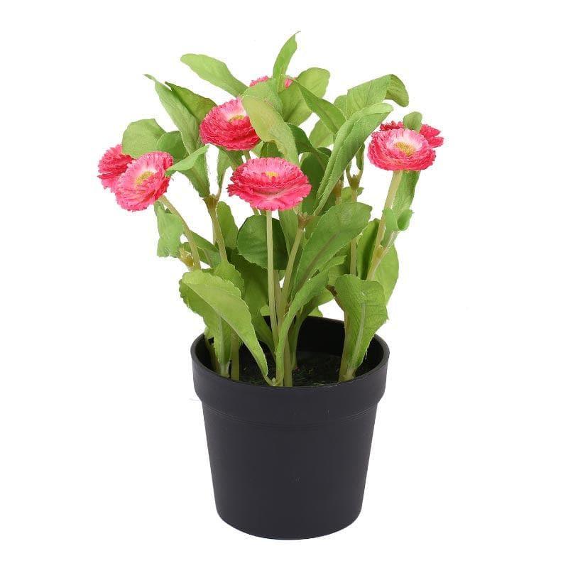 Artificial Plants - Faux Daisy Bonsai In Plastic Pot (25 cms) - Pink