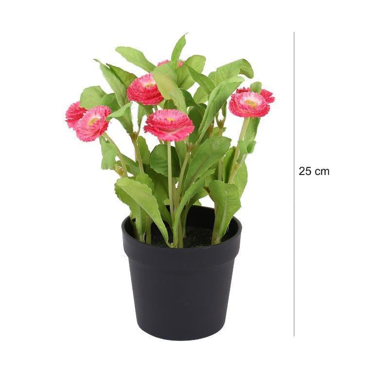 Artificial Plants - Faux Daisy Bonsai In Plastic Pot (25 cms) - Pink