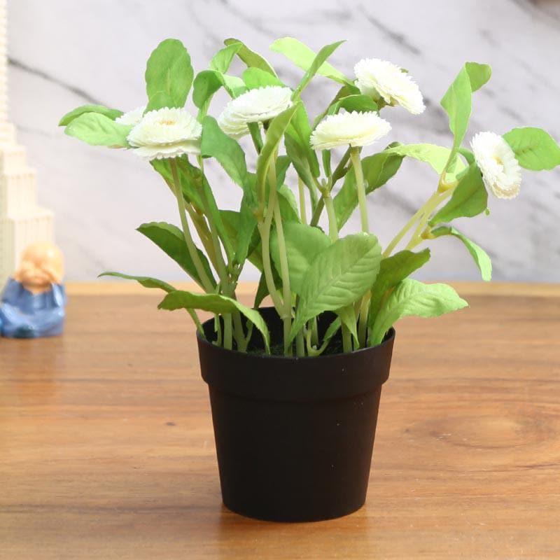 Artificial Plants - Faux Daisy Bonsai In Plastic Pot (25 cms) - White