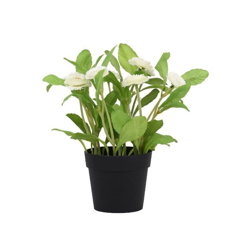 Artificial Plants - Faux Daisy Bonsai In Plastic Pot (25 cms) - White