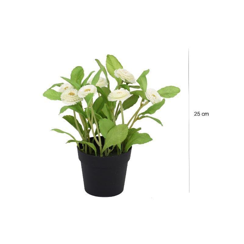 Buy Faux Daisy Bonsai In Plastic Pot (25 cms) - White Artificial Plants from Vaaree