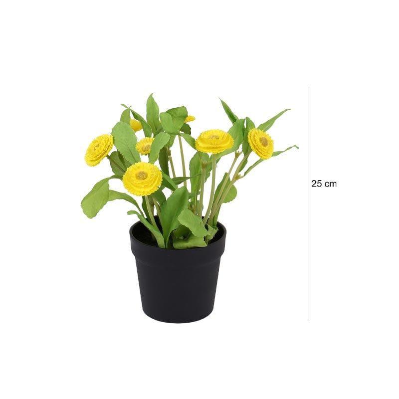 Buy Faux Daisy Bonsai In Plastic Pot (25 cms) - Yellow Artificial Plants from Vaaree