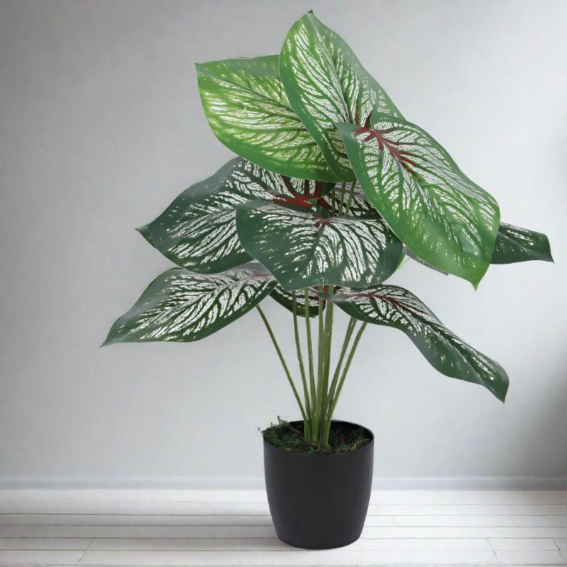 Artificial Plants - Faux Deco Aglonema Silk Plant With Pot - 55 cms