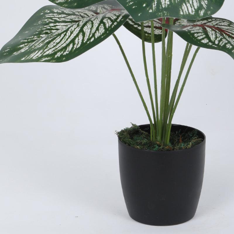 Artificial Plants - Faux Deco Aglonema Silk Plant With Pot - 55 cms