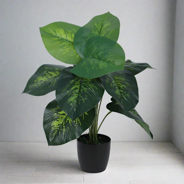 Artificial Plants - Faux Deco Dieffenbachia Silk Plant With Pot - 55 cms