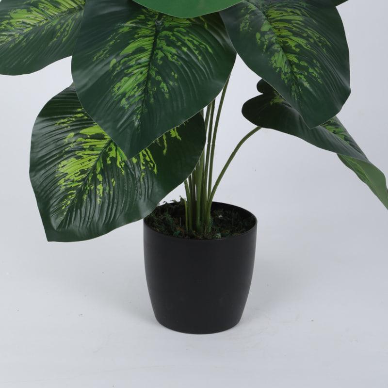 Buy Faux Deco Dieffenbachia Silk Plant With Pot - 55 cms Artificial Plants from Vaaree