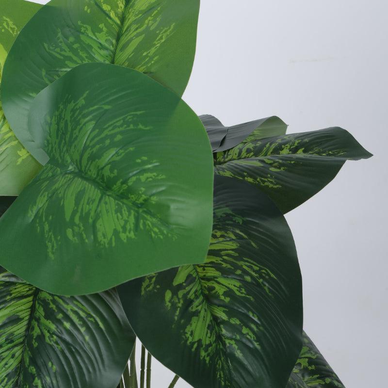 Buy Faux Deco Dieffenbachia Silk Plant With Pot - 55 cms Artificial Plants from Vaaree