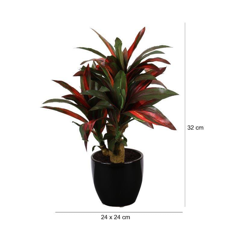 Buy Faux Dracaena Bonsai (35 cms) - Green & Red Artificial Plants from Vaaree