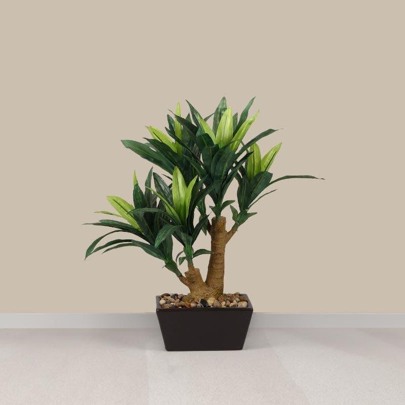 Artificial Plants - Faux Dracaena Bonsai In Ceramic Pot - 41 cms