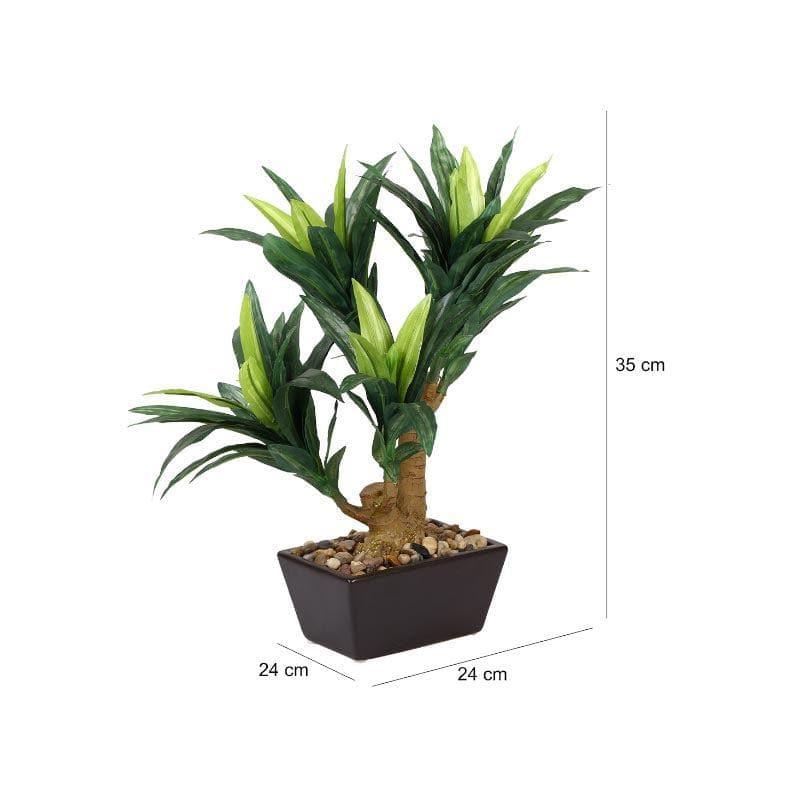 Artificial Plants - Faux Dracaena Bonsai In Ceramic Pot - 41 cms