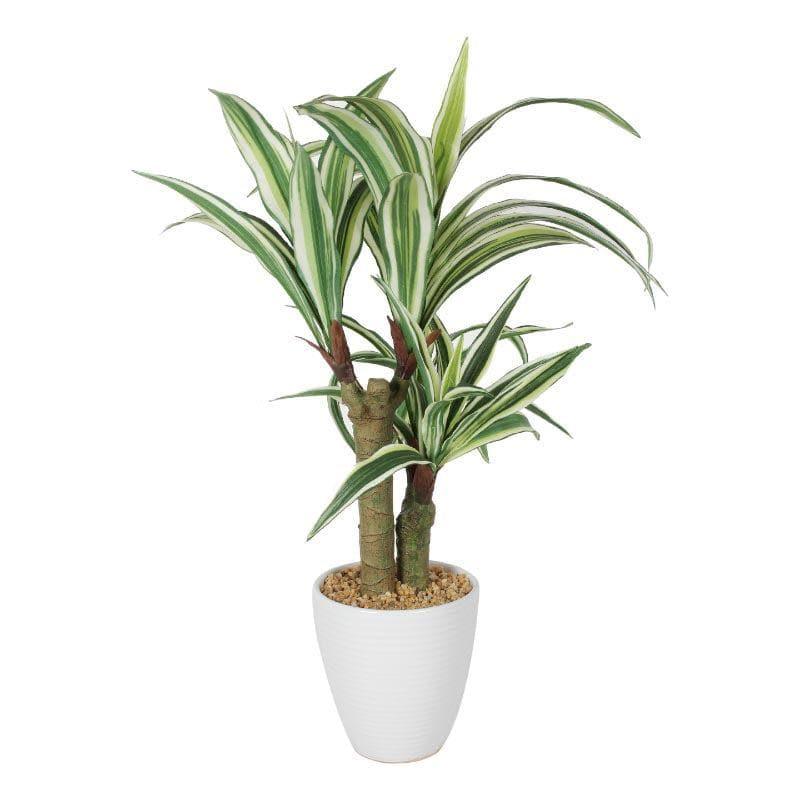 Artificial Plants - Faux Dracaena Bonsai In White Pot (55 cms) - Short