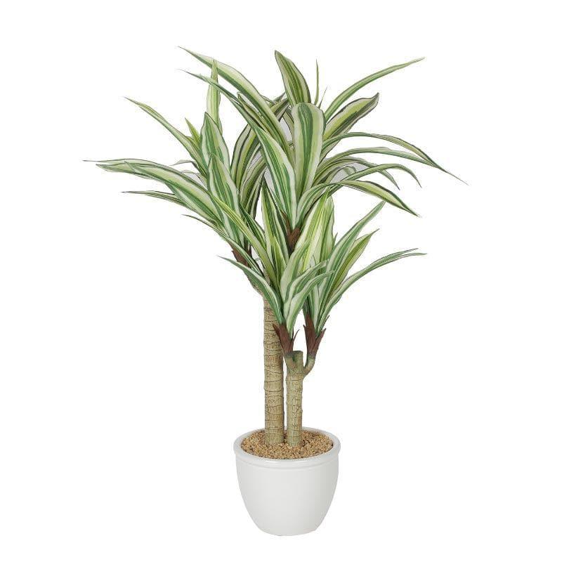 Buy Faux Dracaena Bonsai In White Pot (2.46 ft) - Tall Artificial Plants from Vaaree