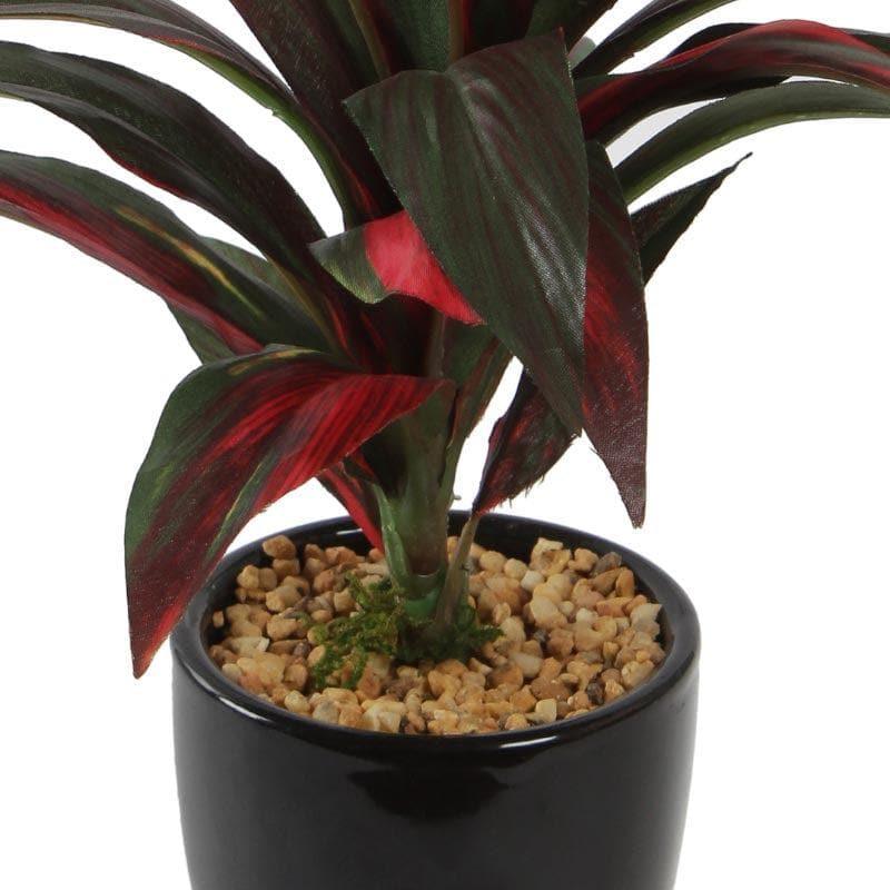 Buy Faux Dracaena Bonsai (24 cms) - Red Artificial Plants from Vaaree