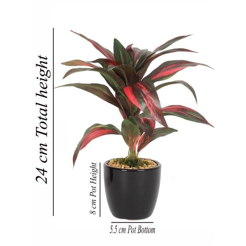 Buy Faux Dracaena Bonsai (24 cms) - Red Artificial Plants from Vaaree