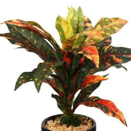 Artificial Plants - Faux Dracaena Bonsai (24 cms) - Yellow