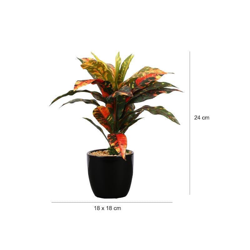 Artificial Plants - Faux Dracaena Bonsai (24 cms) - Yellow