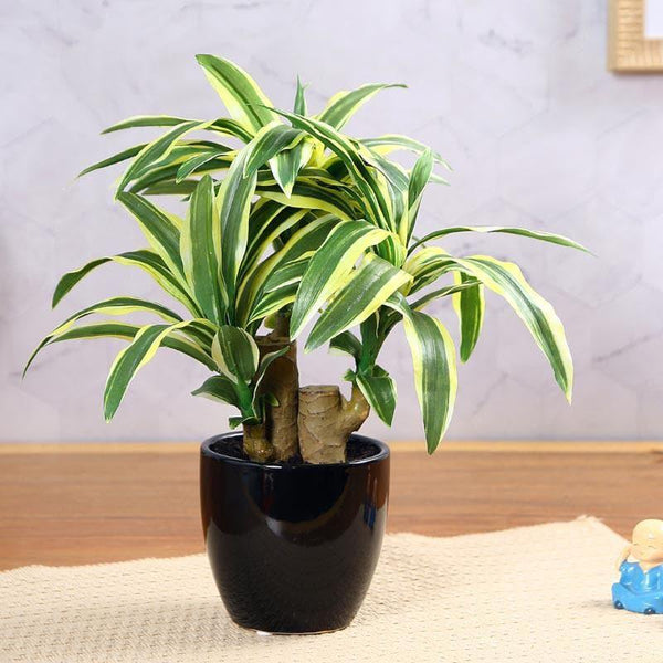 Buy Faux Dracaena Bonsai (35 cms) - Yellow & Green Artificial Plants from Vaaree