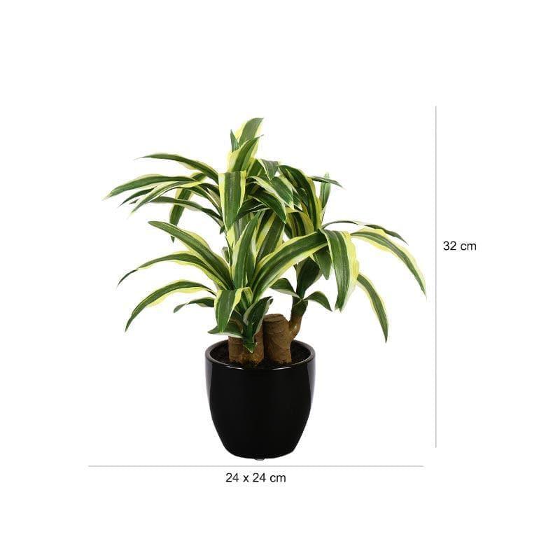 Artificial Plants - Faux Dracaena Bonsai (35 cms) - Yellow & Green