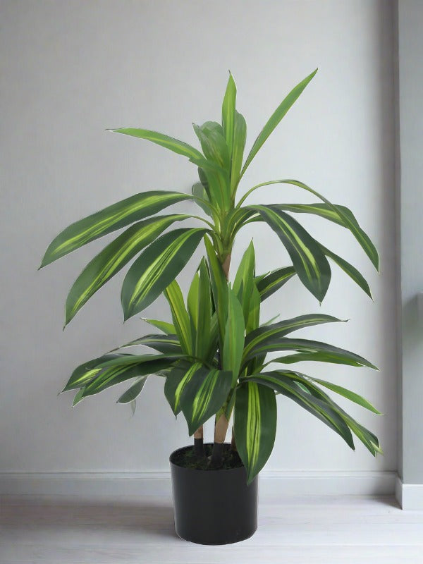 Artificial Plants - Faux Dracaena Limelight Plant With Pot - 2.95 ft