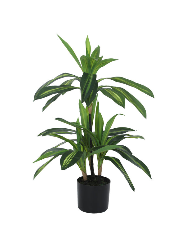 Artificial Plants - Faux Dracaena Limelight Plant With Pot - 2.95 ft