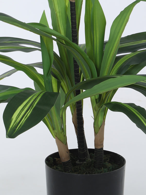 Artificial Plants - Faux Dracaena Limelight Plant With Pot - 2.95 ft