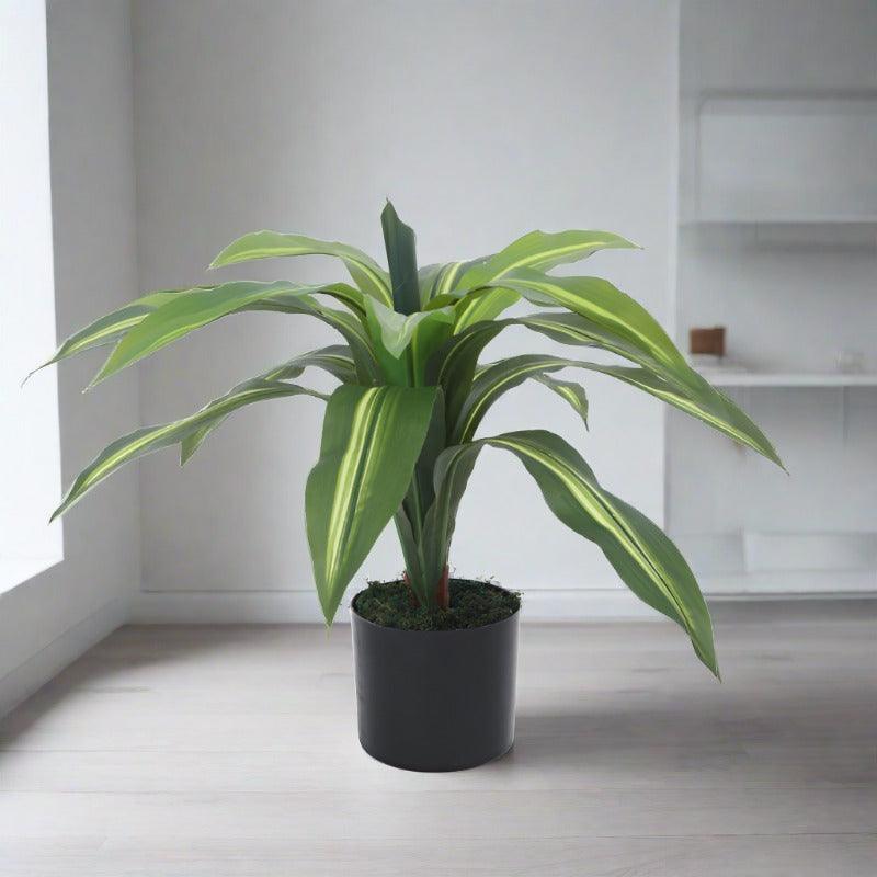 Artificial Plants - Faux Dracaena Plant With Pot - 2.13 ft